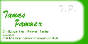 tamas pammer business card